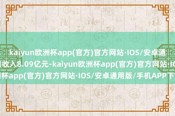 kaiyun欧洲杯app(官方)官方网站·IOS/安卓通用版/手机APP下载销售收入8.09亿元-kaiyun欧洲杯app(官方)官方网站·IOS/安卓通用版/手机APP下载