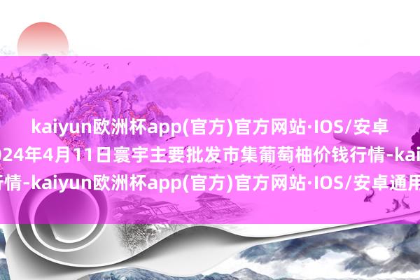 kaiyun欧洲杯app(官方)官方网站·IOS/安卓通用版/手机APP下载2024年4月11日寰宇主要批发市集葡萄柚价钱行情-kaiyun欧洲杯app(官方)官方网站·IOS/安卓通用版/手机APP下载