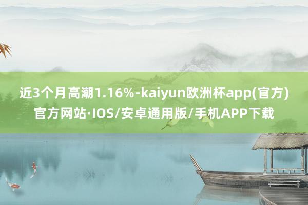 近3个月高潮1.16%-kaiyun欧洲杯app(官方)官方网站·IOS/安卓通用版/手机APP下载