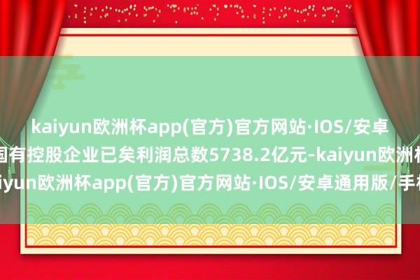 kaiyun欧洲杯app(官方)官方网站·IOS/安卓通用版/手机APP下载国有控股企业已矣利润总数5738.2亿元-kaiyun欧洲杯app(官方)官方网站·IOS/安卓通用版/手机APP下载