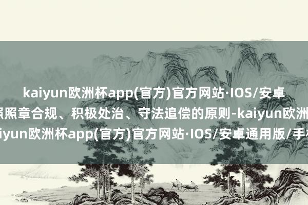 kaiyun欧洲杯app(官方)官方网站·IOS/安卓通用版/手机APP下载按照照章合规、积极处治、守法追偿的原则-kaiyun欧洲杯app(官方)官方网站·IOS/安卓通用版/手机APP下载