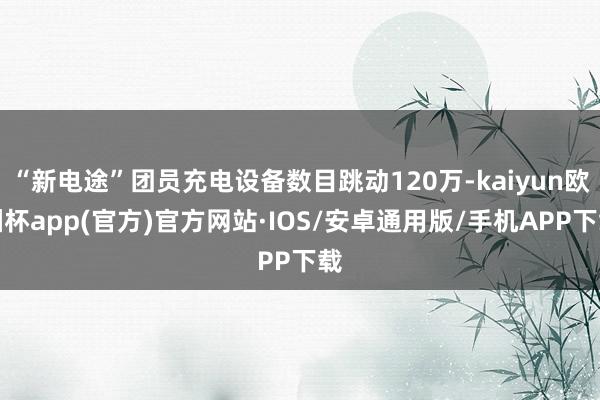 “新电途”团员充电设备数目跳动120万-kaiyun欧洲杯app(官方)官方网站·IOS/安卓通用版/手机APP下载