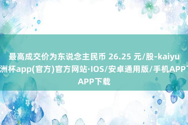 最高成交价为东说念主民币 26.25 元/股-kaiyun欧洲杯app(官方)官方网站·IOS/安卓通用版/手机APP下载