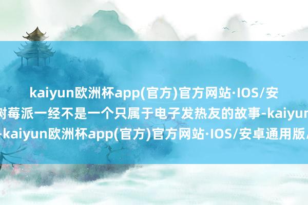 kaiyun欧洲杯app(官方)官方网站·IOS/安卓通用版/手机APP下载树莓派一经不是一个只属于电子发热友的故事-kaiyun欧洲杯app(官方)官方网站·IOS/安卓通用版/手机APP下载