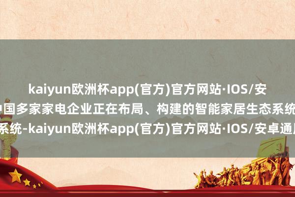 kaiyun欧洲杯app(官方)官方网站·IOS/安卓通用版/手机APP下载中国多家家电企业正在布局、构建的智能家居生态系统-kaiyun欧洲杯app(官方)官方网站·IOS/安卓通用版/手机APP下载