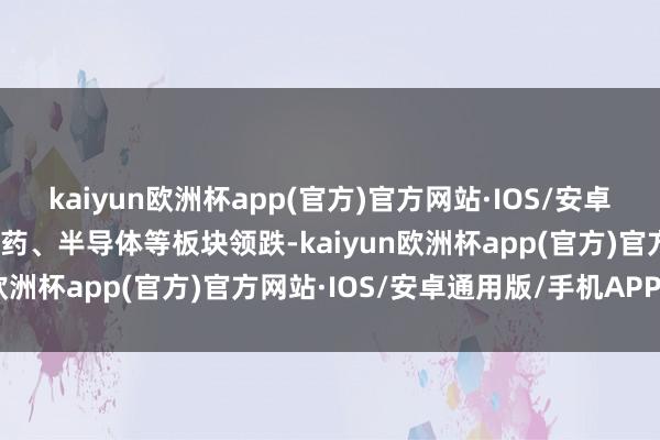 kaiyun欧洲杯app(官方)官方网站·IOS/安卓通用版/手机APP下载医药、半导体等板块领跌-kaiyun欧洲杯app(官方)官方网站·IOS/安卓通用版/手机APP下载