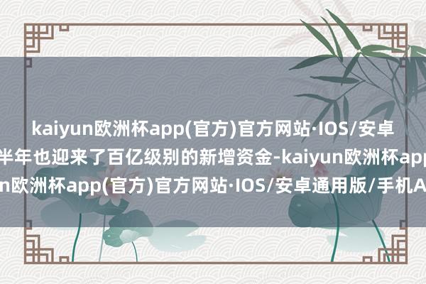 kaiyun欧洲杯app(官方)官方网站·IOS/安卓通用版/手机APP下载上半年也迎来了百亿级别的新增资金-kaiyun欧洲杯app(官方)官方网站·IOS/安卓通用版/手机APP下载