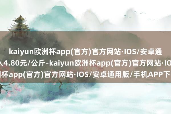 kaiyun欧洲杯app(官方)官方网站·IOS/安卓通用版/手机APP下载出入4.80元/公斤-kaiyun欧洲杯app(官方)官方网站·IOS/安卓通用版/手机APP下载